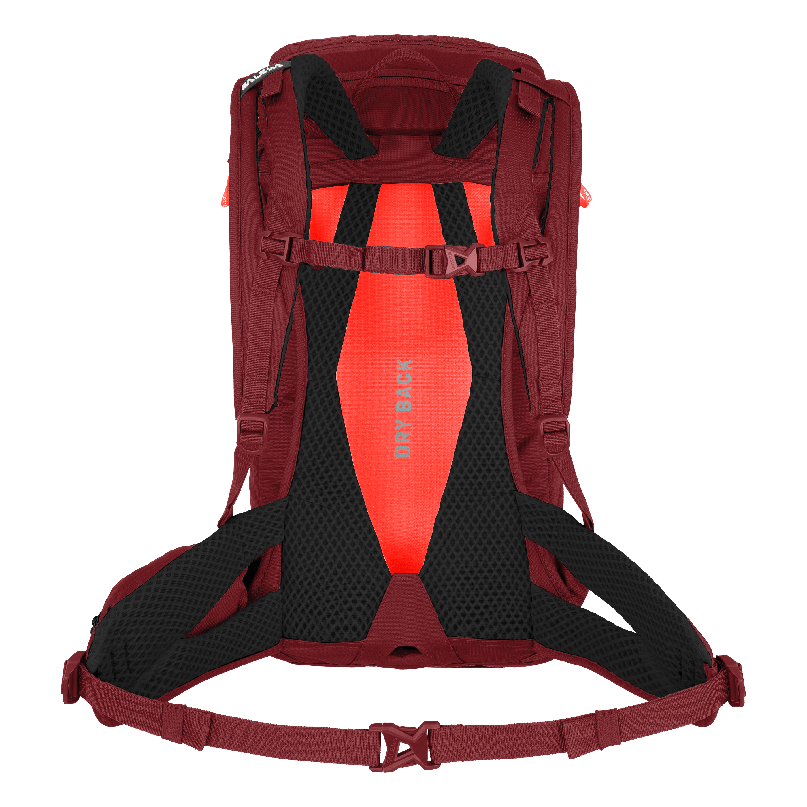 Alp Trainer 20L Backpack Women