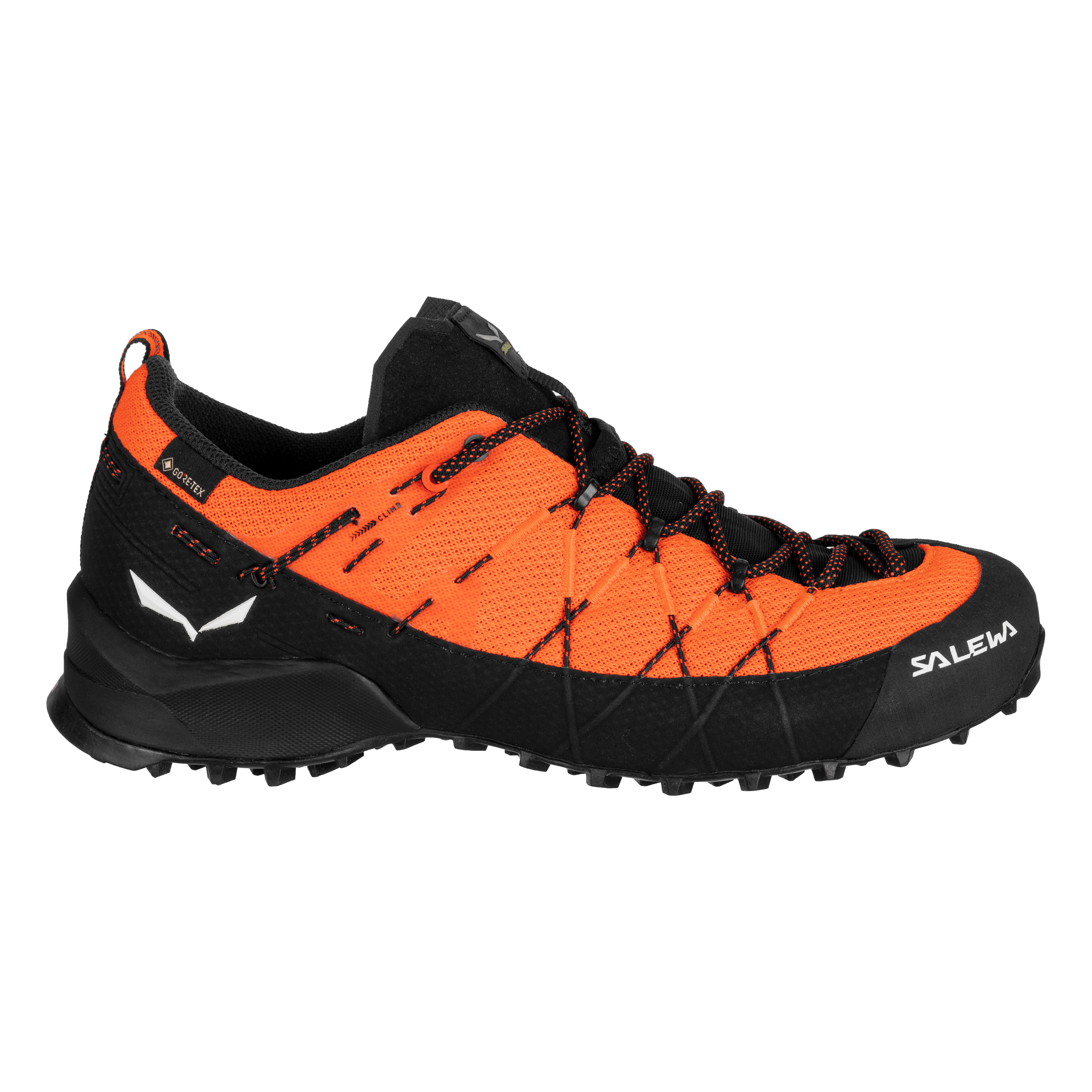 Wildfire 2 Gore-Tex® Shoe Men