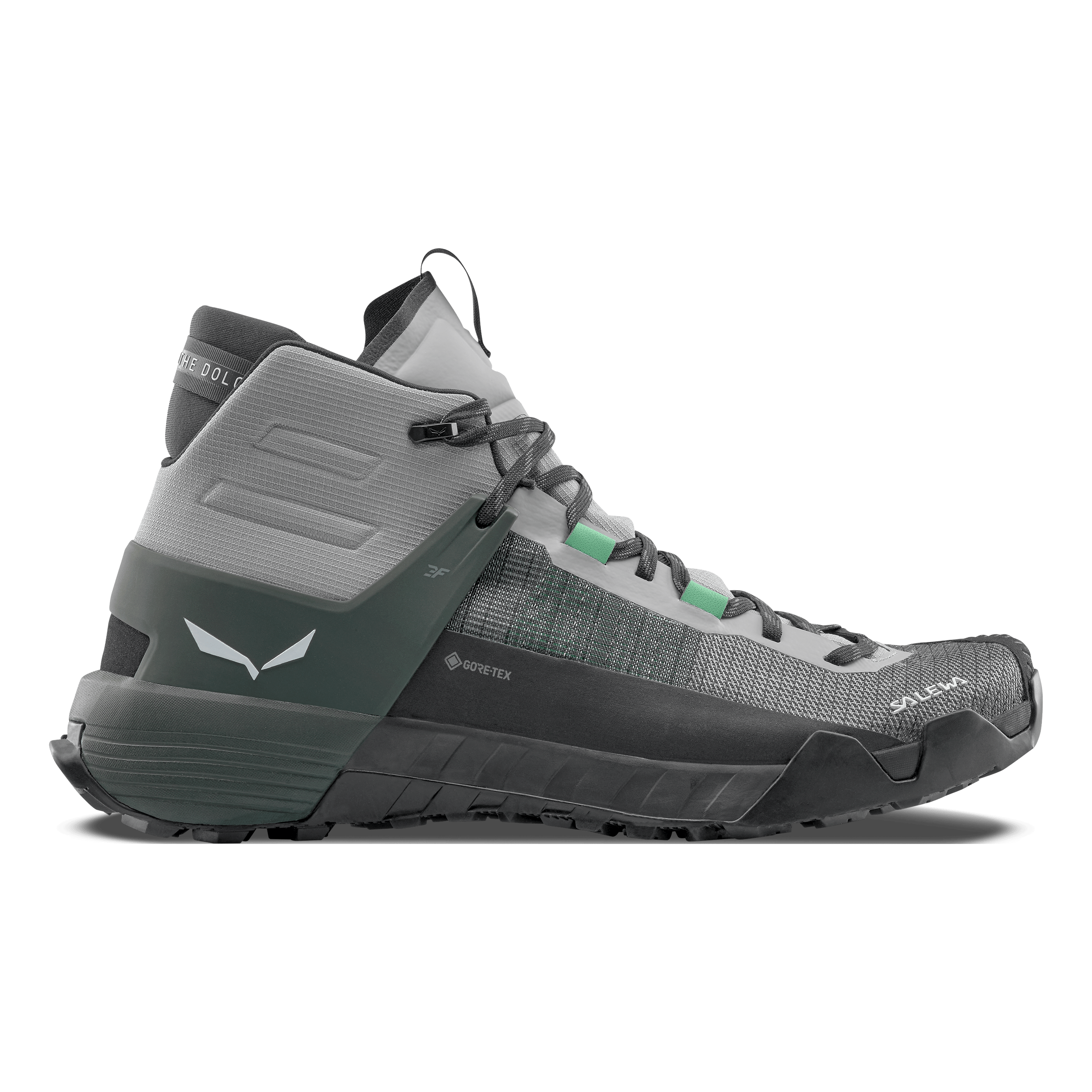 Wildfire NXT MID GORETEX® Shoe Men