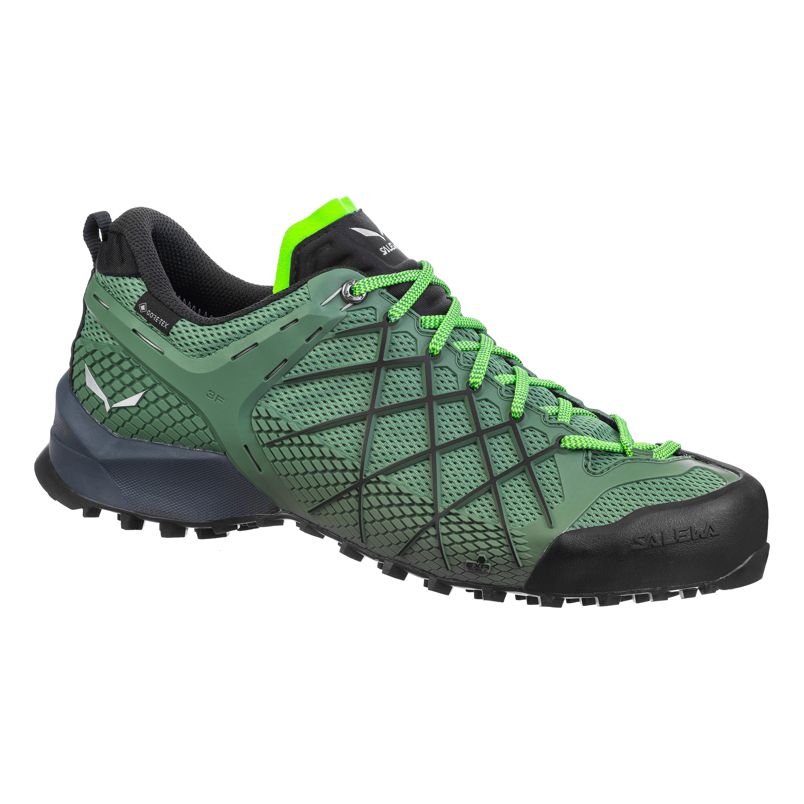 Wildfire GORE-TEX® Men's Shoes