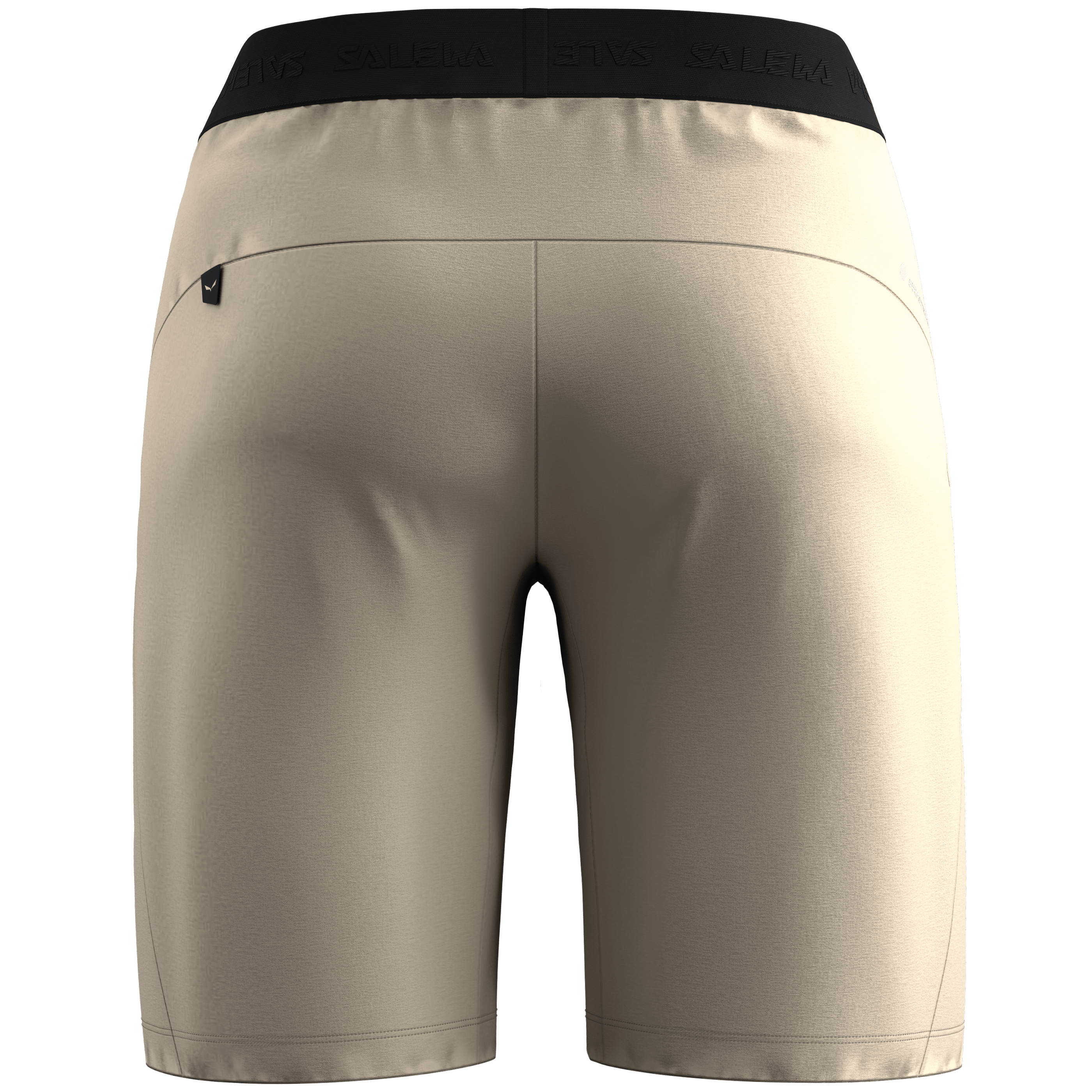 Puez 4 Shorts Men