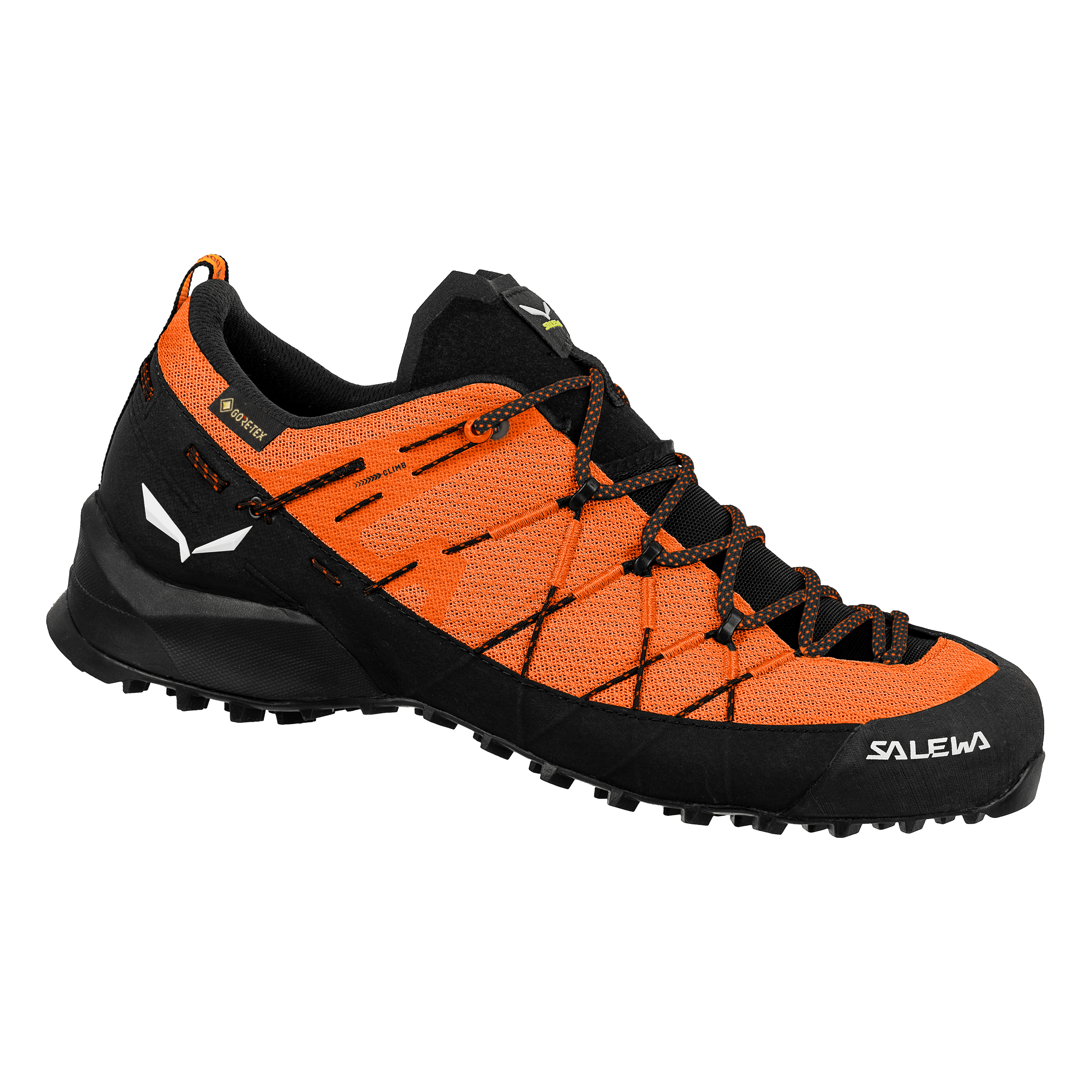 Wildfire 2 Gore-Tex® Shoe Men