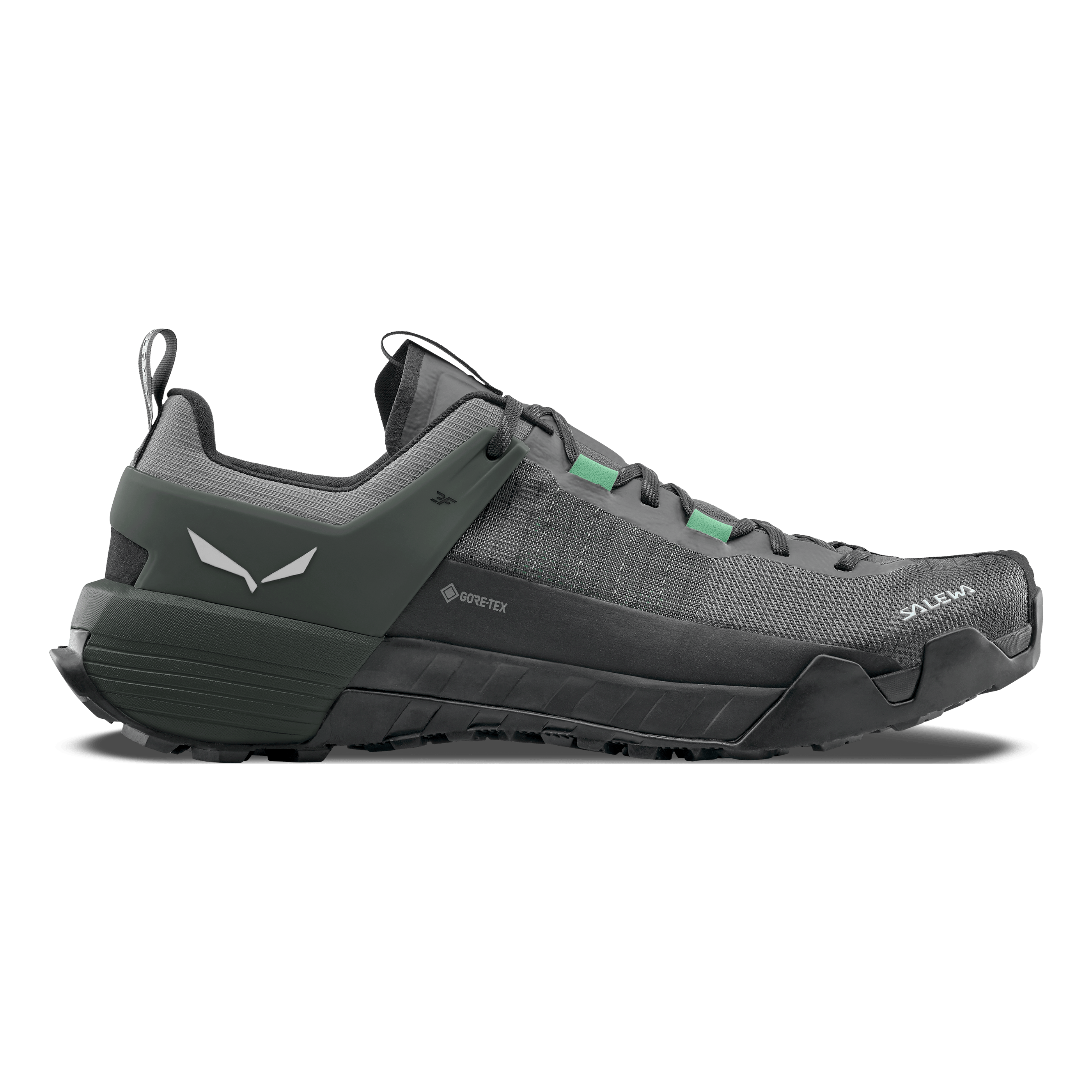 Wildfire NXT GORETEX® Shoe Men
